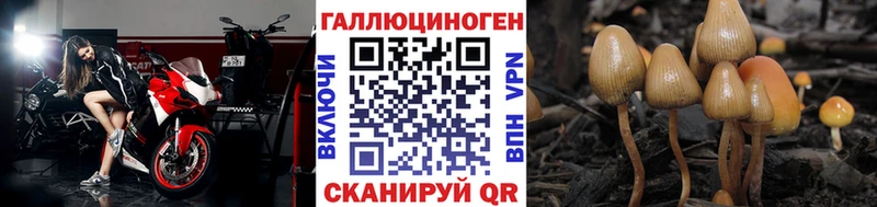 Псилоцибиновые грибы мухоморы  магазин продажи наркотиков  мега tor  Ярцево 