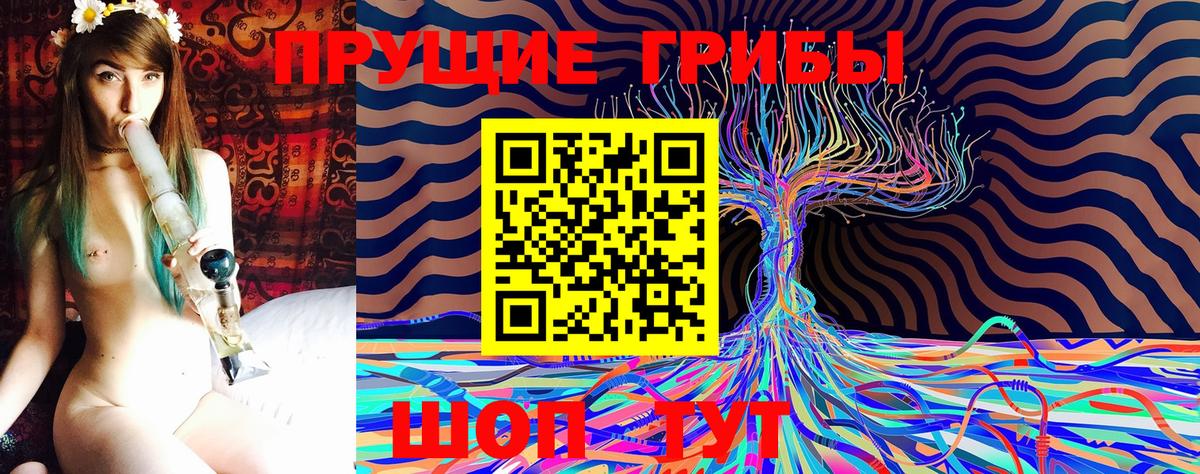 Псилоцибиновые грибы Cubensis Ярцево